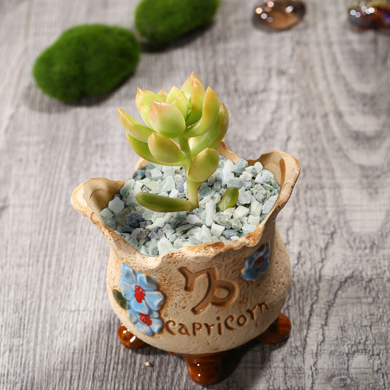 Естествен камък с неправилна форма: идеален за градински саксии, аквариуми и аквариуми!