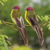 Εξωτερική διακόσμηση Προσομοίωση Feather Bird Garden Forest Flower Decoration Bird Foam Feather Products Fake Bird Garden Decoration