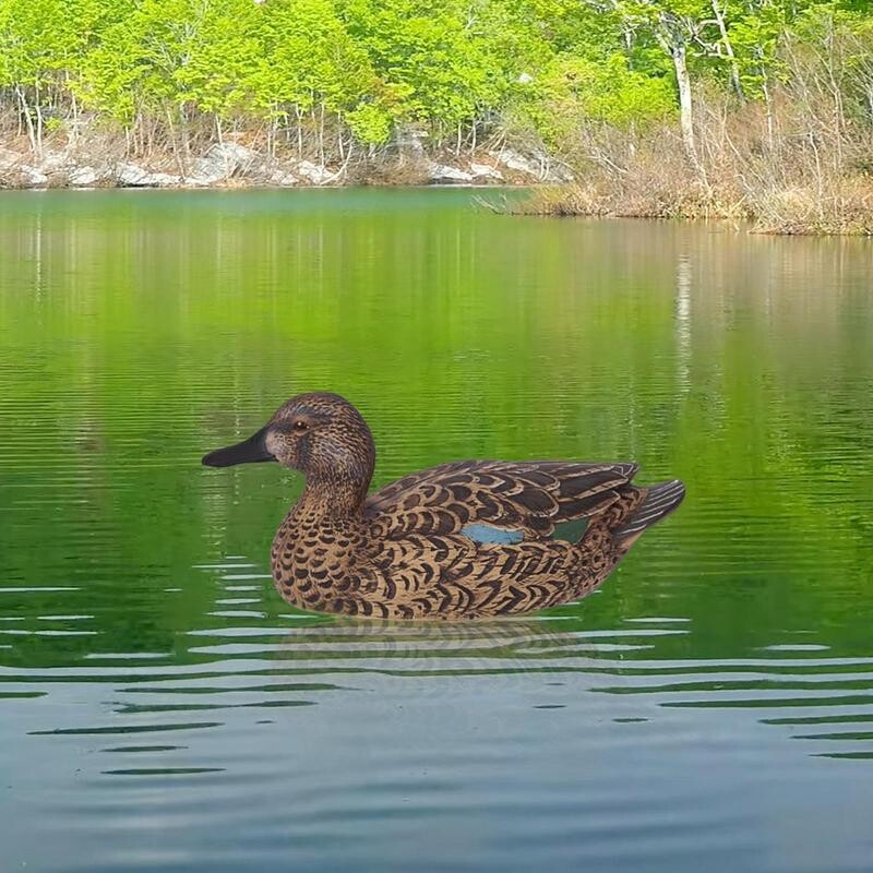 1 бр. Плуваща примамка за лов на патица, средство за възпиране на птици, средство за отблъскване на плевели, плашило за вредители