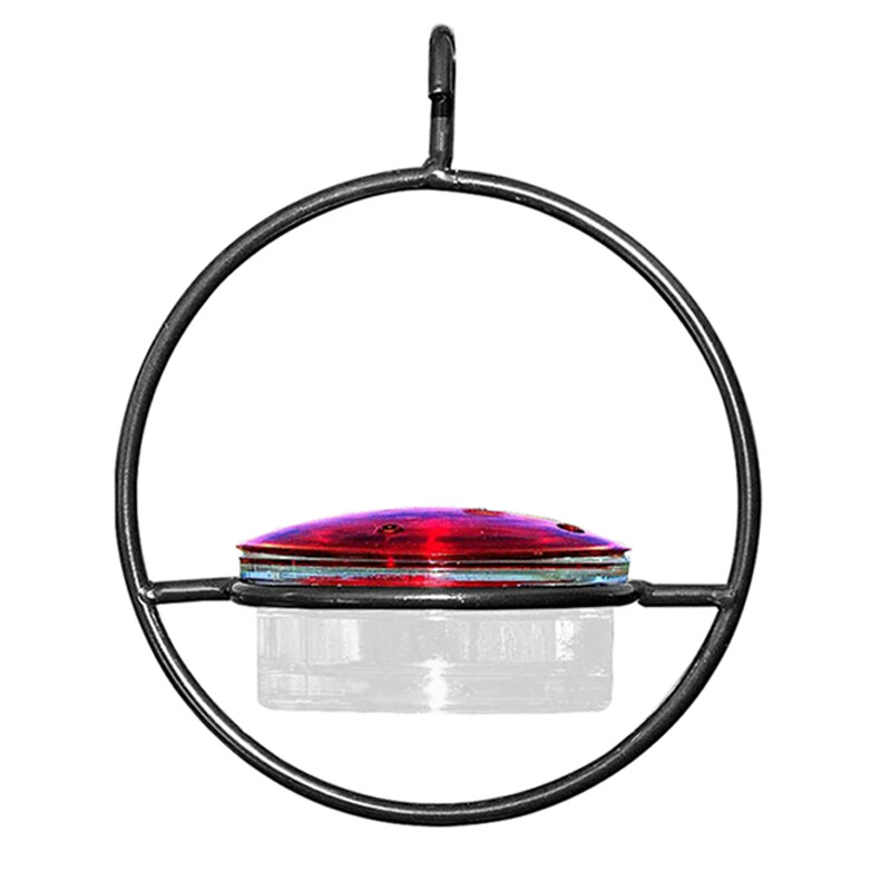 Висяща хранилка за колибри Кръгъл домашен любимец Птица Водопоилка Мравка Пчела Доказателство за външен двор Патио Градина Двор Прозорец Декор