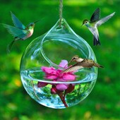 Glass Hummingbird Feeders Διακοσμητικός τροφοδότης γυαλιού για άγρια πτηνά Top Opening Design Bird Feeding Tool For Window bird drinker
