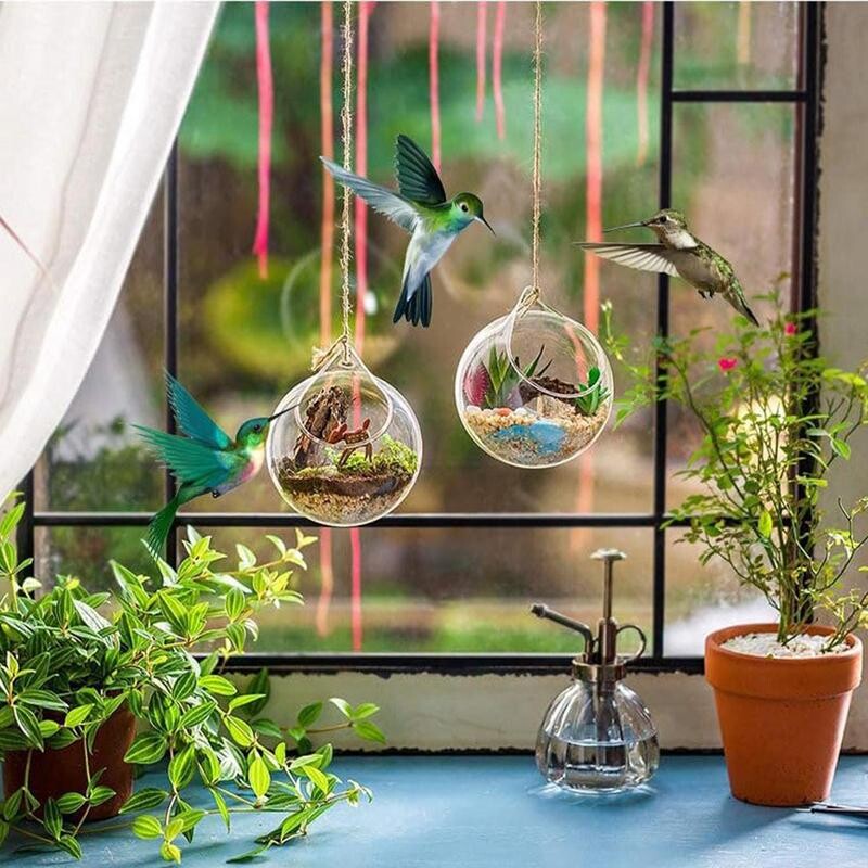 Стъклени хранилки за колибри Декоративна стъклена хранилка за диви птици Дизайн с горен отвор Инструмент за хранене на птици за прозорец поилка за птици