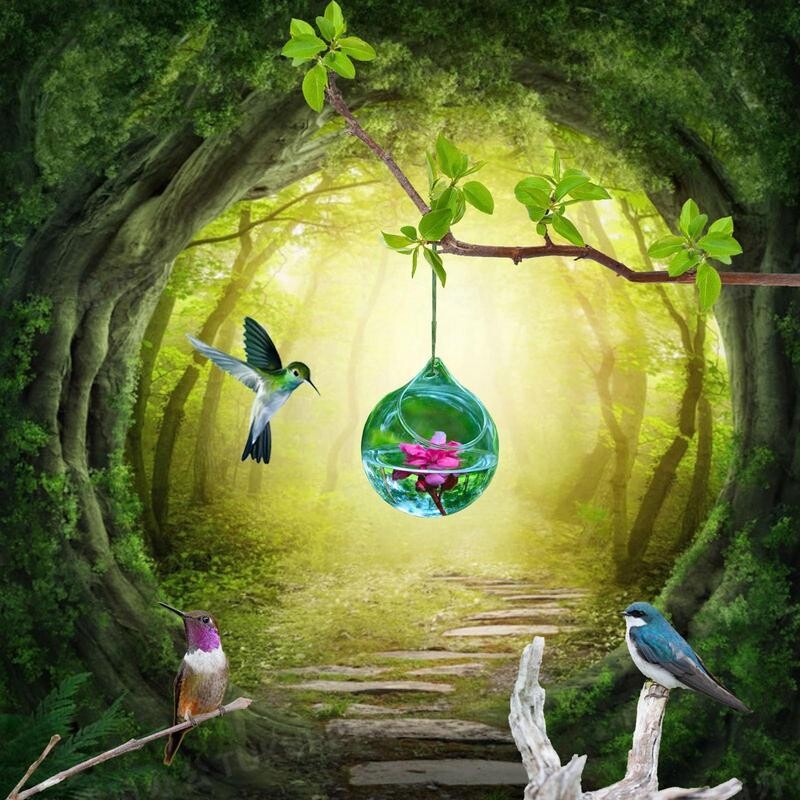 Стъклени хранилки за колибри Декоративна стъклена хранилка за диви птици Дизайн с горен отвор Инструмент за хранене на птици за прозорец поилка за птици