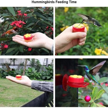 Bird Feeder Handheld Hummingbird Feeder με βεντούζα Εξωτερικό παράθυρο Hummingbird Drinker with Brush Bird Accessories