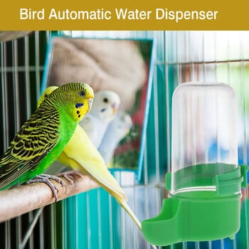 Automatic Bird Drinker Feeder Waterer Food Cup Εξωτερικό κουτί φαγητού πουλιών Προμήθειες πουλιών και αξεσουάρ κλουβιού πουλιών 200 ml