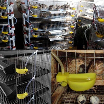 Automatic Birds Quail Drinking Bowl Convenient Pigeons Chickens Feeding Cup Πρακτικά αξεσουάρ κλουβιού ποτών Προμήθειες για κατοικίδια