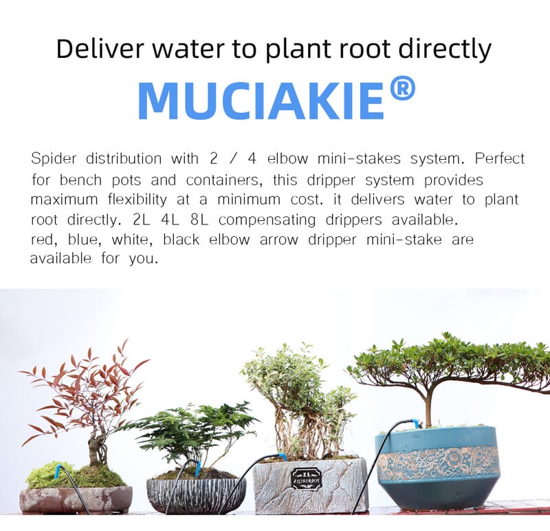 Kasvuhoone tilkniisutus 4-suunaline tilkinool 2-suunaline saatjaga niisutussüsteem Potitaimed kasvuhoonekomplektiga 10 komplekti 20 komplekti