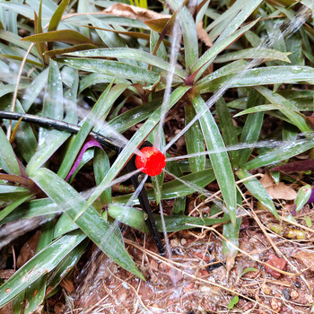 10-30M Garden 1/4\'\' κιτ στάγδην άρδευσης Ακροφύσια αυτόματου συστήματος ποτίσματος για θερμοκήπιο λαχανικών λουλουδιών φυτών μπονσάι καλλιεργειών