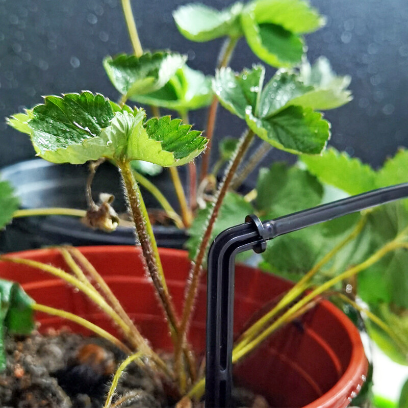 OASIS kasvuhoone tilkniisutus, 4-suunaline 3/5 mm tilkinool, 2-suunaline saatjaga kastmissüsteem Bonsai Garden jaoks 10/20 komplekt