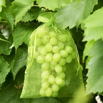 50Pcs Fruit Protection Bag Pest Contro Plants Anti-Bird Mesh Bags Grow Gardening Strawberry Grape Drawstring Bags Мрежеста торбичка