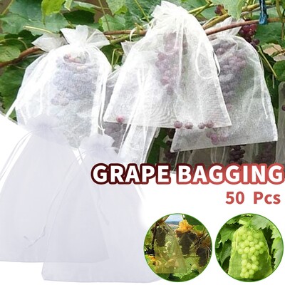 50Pcs Fruit Protection Bag Pest Contro Plants Anti-Bird Mesh Bags Grow Gardening Strawberry Grape Drawstring Bags Мрежеста торбичка