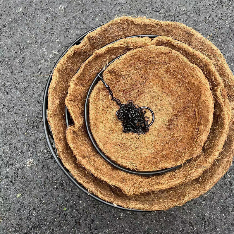 Kookospruun ümmargune raudkett rippkorv lillepott Euroopa loominguline lihakas roheline taim Chlorophytum Comosum lillepott