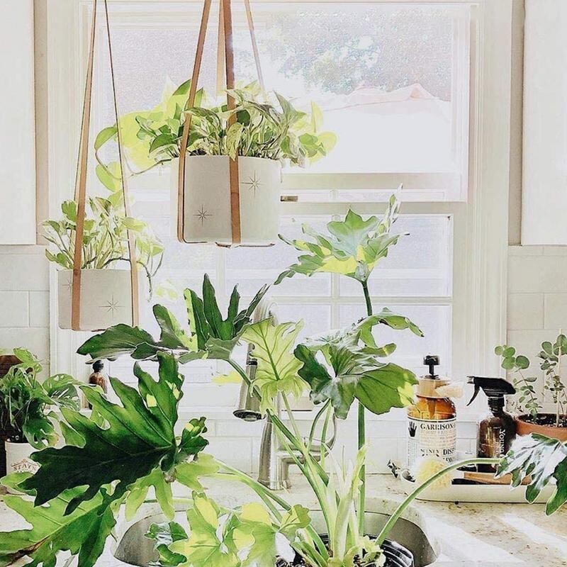 Rankų darbo makramo augalų kabykla gėlių vazonų kabykla pakabinama virve, pinti amatai, skirti sienų dekoravimui apskrities sodo augalų laikiklis