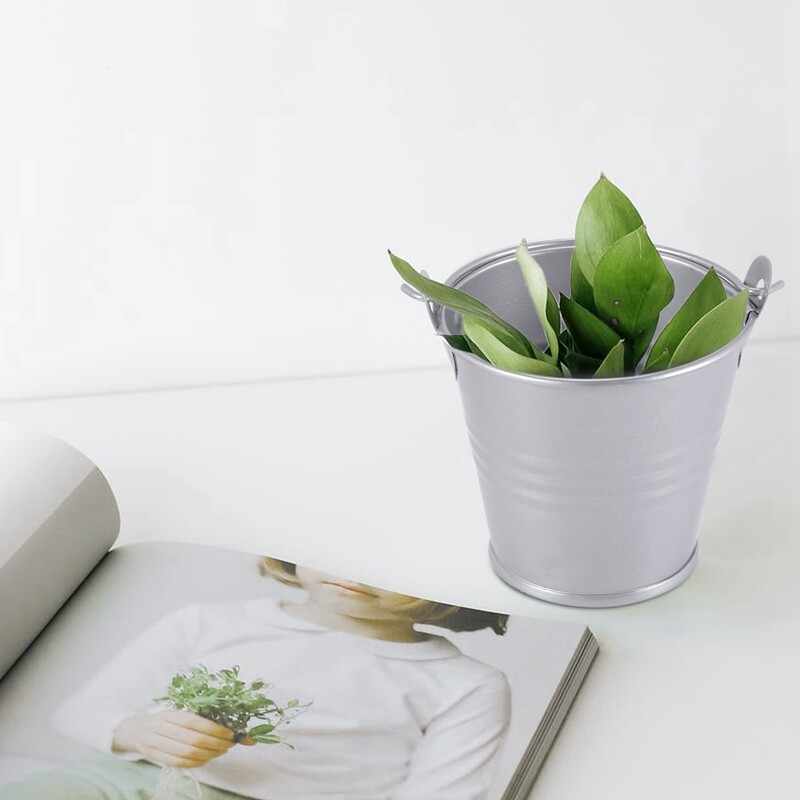 12 tk. Lillede istutusmasin Mini ämbritega metallist lauakaunistus (juhuslik värv)