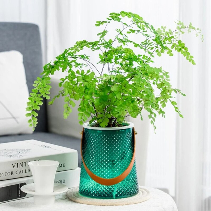 Самополивна мързелива саксия за растения с дръжка, хидропонна сеялка с видимо ниво на водата, включително градински консумативи