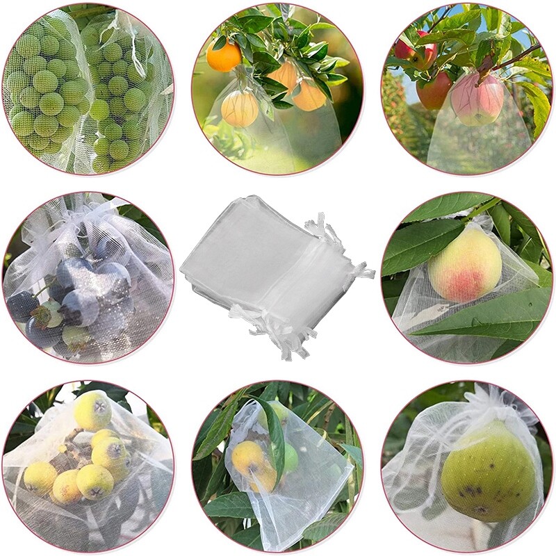 50 vnt Vaisių apsaugos maišeliai nuo paukščių tinklelio auginimo maišeliai Sodo braškių vynuogių virvelė Tinklas sodas nuo vabzdžių kenkėjų kontrolės