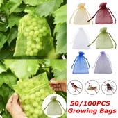 50/100 τεμ. Φράουλα Grapes Grow Bag
