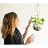 Disco Ball Plant Κρεμάστρα Καθρέφτης Ημισφαίριο Ζαρντινιέρα Κρεμαστό καλάθι Κρεμαστό Γλαστράκι Γλαστροθήκη στολίδι γραφείου