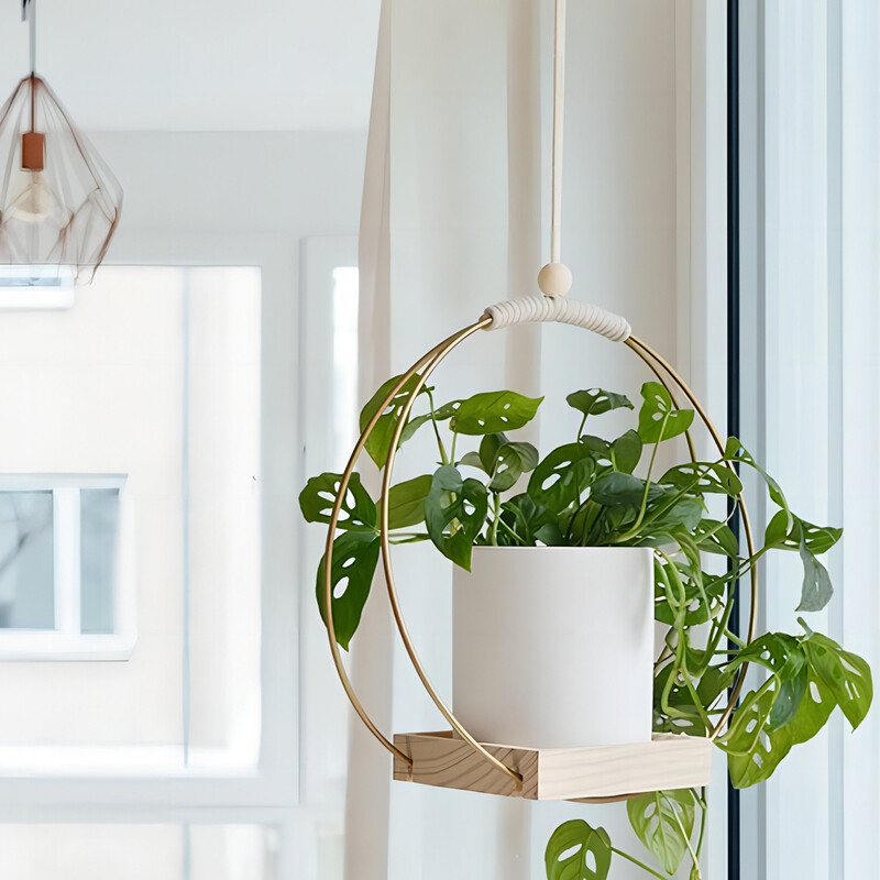 Modernus patalpų kabančių augalų sodintuvų laikiklis su medine lentyna ir kabliu – pakabinamos sodintuvės namų dekoravimui