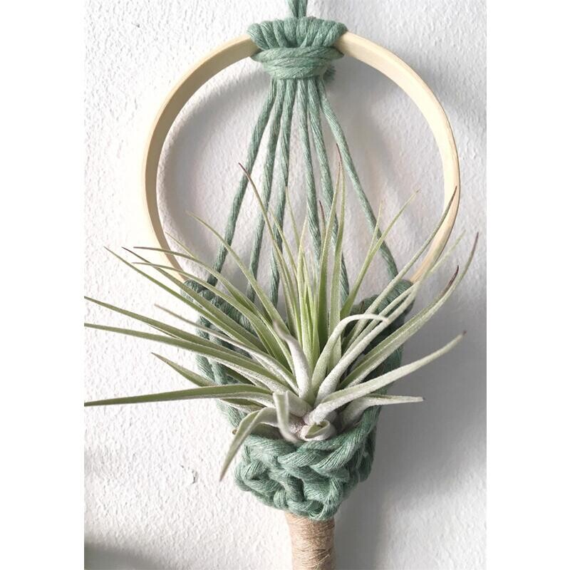 Įvairių spalvų „Makrame“ oro augalų laikiklis Bohemiško stiliaus medvilninis rankų audimas pakabinamas vazonas namų dekoravimui interjero dekoravimui