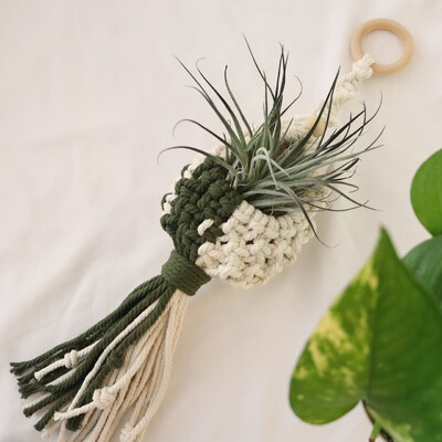 Κρεμάστρα Macrame Air Plant Κρεμαστή θήκη αεροφυτών Αεροπλάνα Επίδειξης Ζαρντινιέρα τοίχου Boho Γλάστρες Υφαντό καλάθι Μπαλκόνι Δώρο