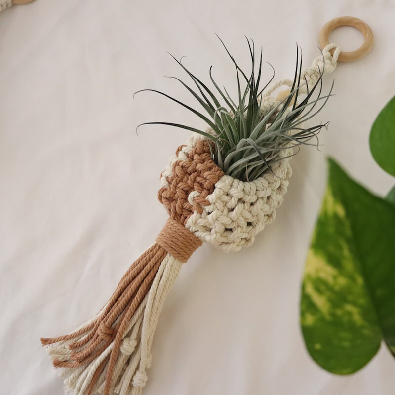 Makrame õhutaime riidepuu Rippõhk õhutaimehoidja Õhutaimede vitriin Seinaplank Boho lillepotid kootud korv rõdu kingitus