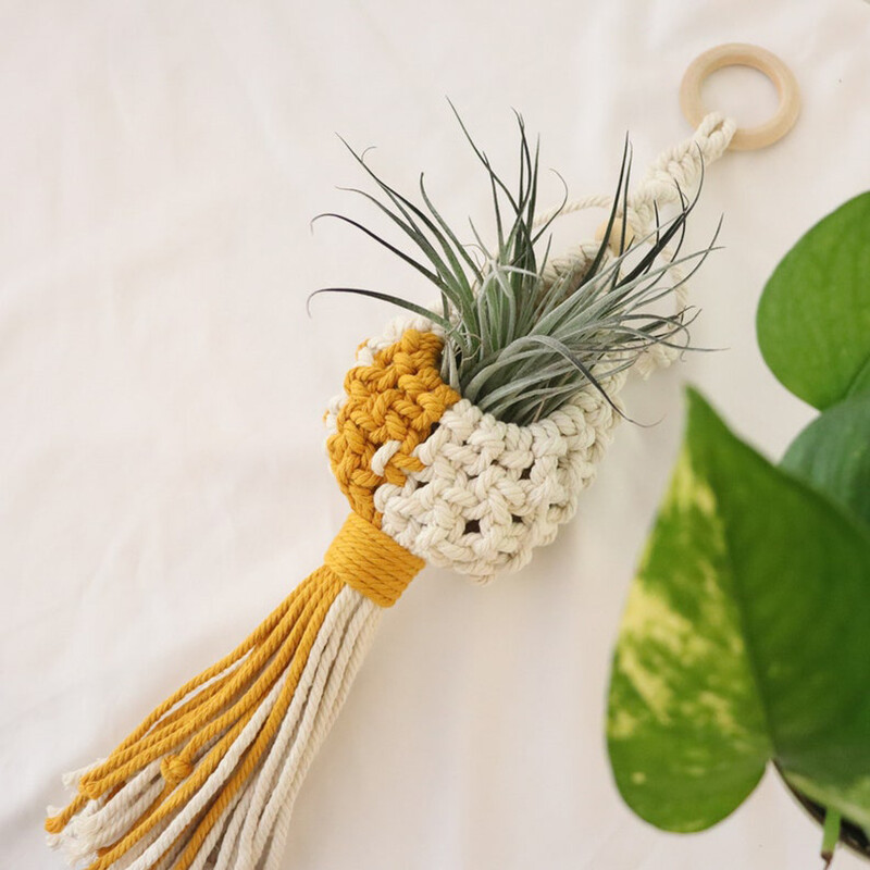 Makrame õhutaime riidepuu Rippõhk õhutaimehoidja Õhutaimede vitriin Seinaplank Boho lillepotid kootud korv rõdu kingitus