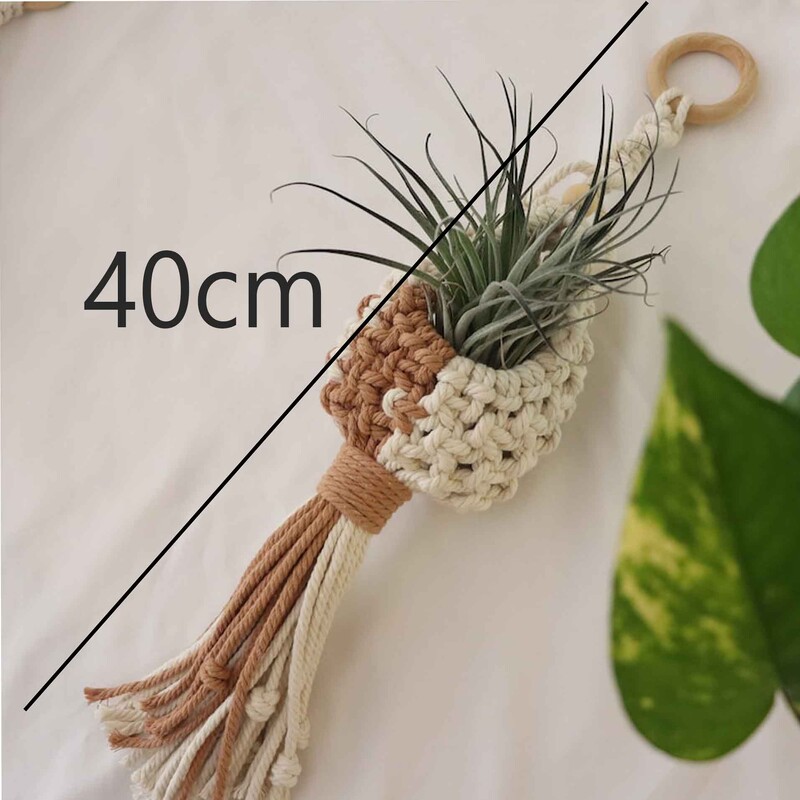 Makrame õhutaime riidepuu Rippõhk õhutaimehoidja Õhutaimede vitriin Seinaplank Boho lillepotid kootud korv rõdu kingitus