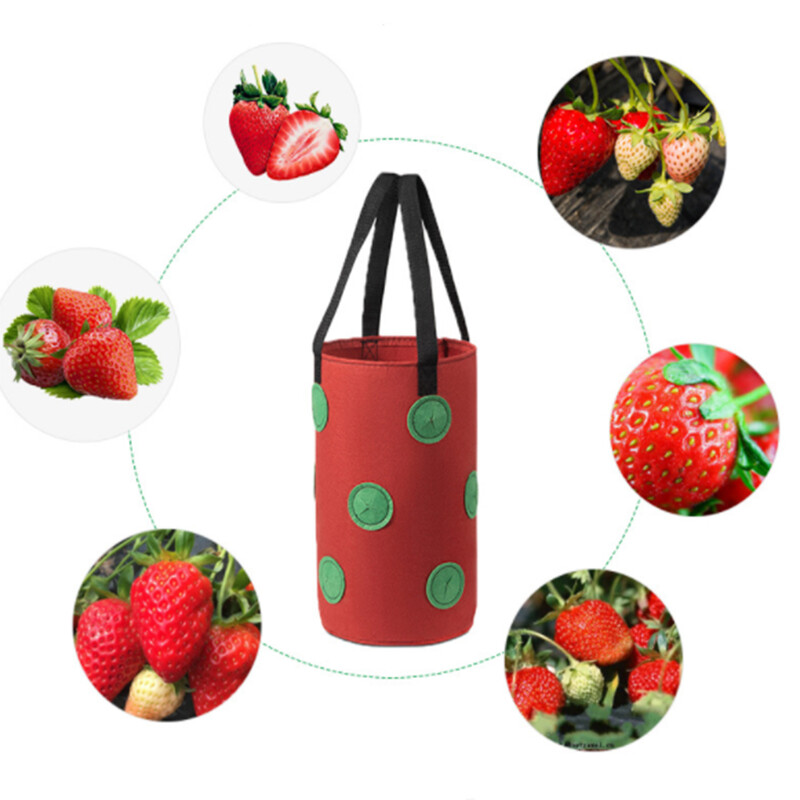 Viseća vrećica za uzgoj jagoda Viseća vreća za sadnju za prozračivanje Prikladna za vreću za uzgoj jagoda Vreća za uzgoj rajčice