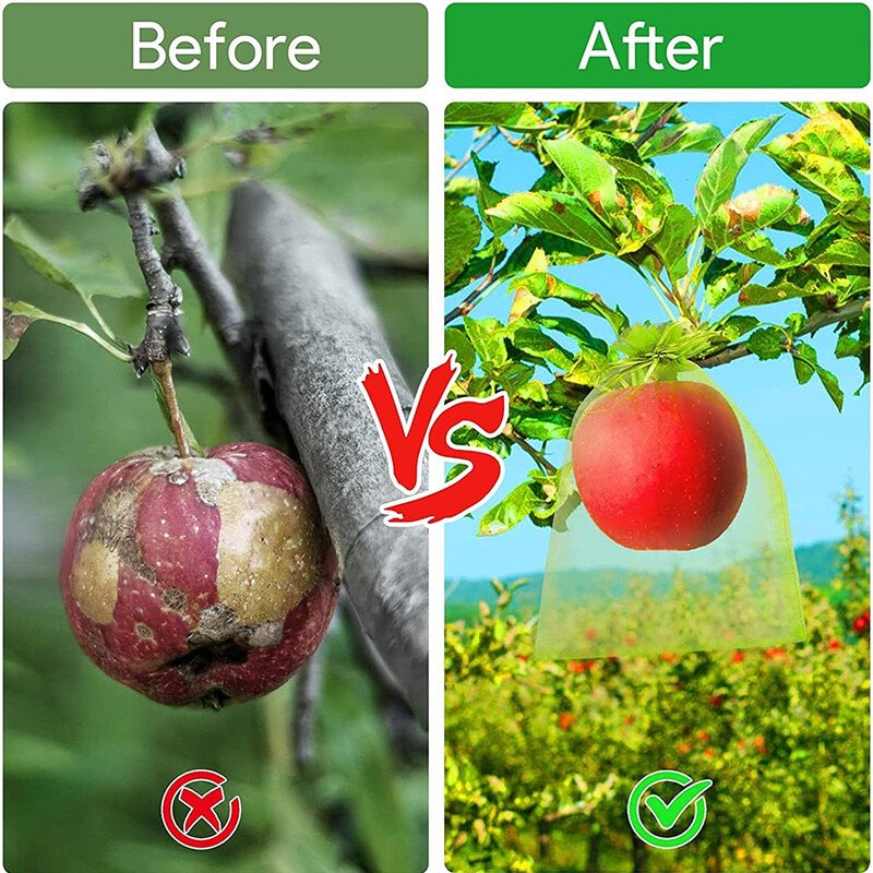 100/50 pakuočių vaisių apsaugos maišeliai.