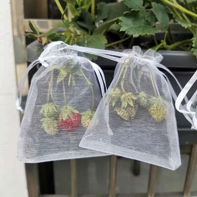 50Pcs Bundle Mouth Organza Κορδόνι κήπου πουλί με προστατευτικό δίχτυ για προστασία φρούτων Τσάντα συσκευασίας δώρου