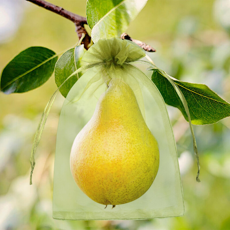 Vaisių apsaugos maišeliai Organza kenkėjų kontrolė Apsauga nuo paukščių sodo tinkleliai Vynuogės tinklinis maišelis Plante daržovių auginimo maišeliai 50 vnt.