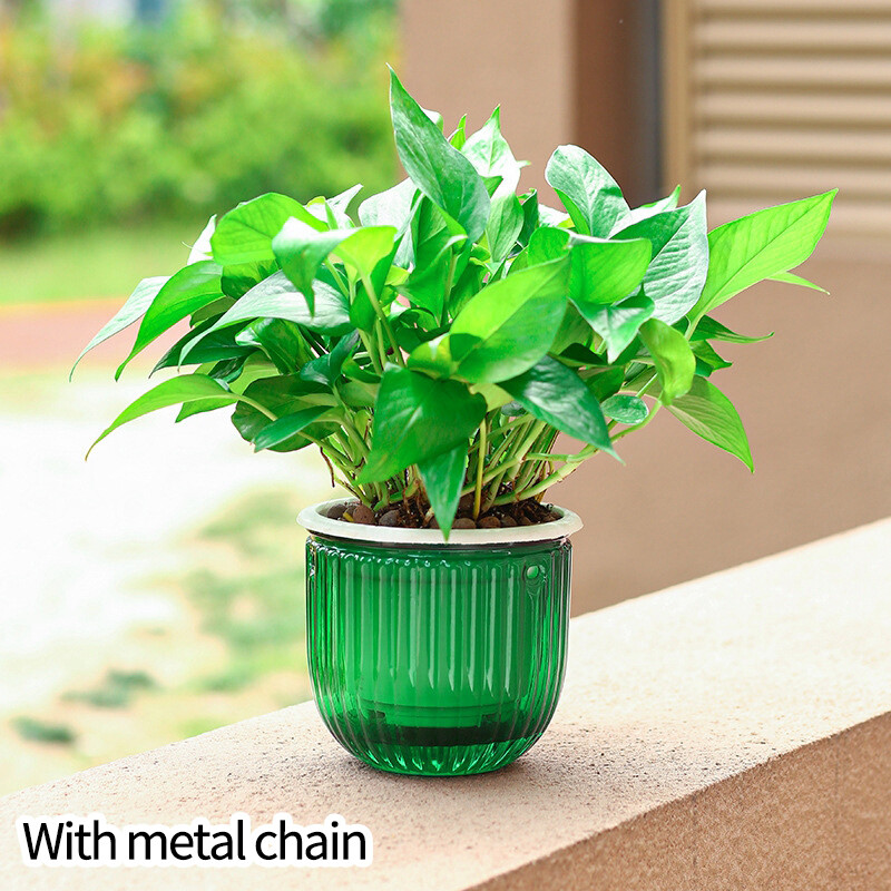 Pakabinamas vazonas savaime vandens augalų vazonas Apvalus dizainas hidroponinės vazos namams Žalios augalų kabyklos sodo sienos bonsai dekoravimui