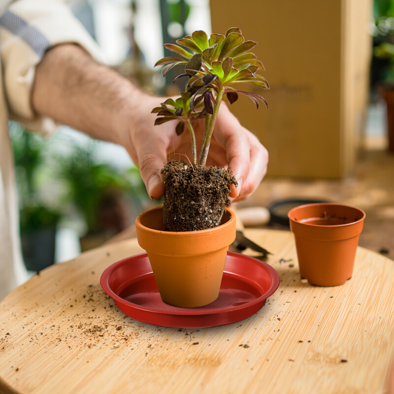 5 vnt. vazoninių augalų pagrindo lėkštės Stalinės vazoninės apvalios vazoninės lėkštės