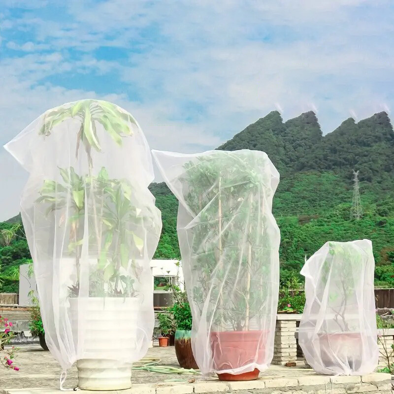 Apsauginiai vynuogių vaisių maišeliai Graden tinklinis tinklinis dangtelis augalų daržovių medžių braškių kontrolės kovos su paukščiais sodo įrankiui