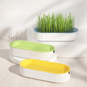 Hydroponic Cat Grass Planter Box Growing Pot επαναχρησιμοποιήσιμο Σνακ γάτα Catnip Φύτευσης Δοχείο χωρίς χώμα Εύχρηστες προμήθειες σπιτιού