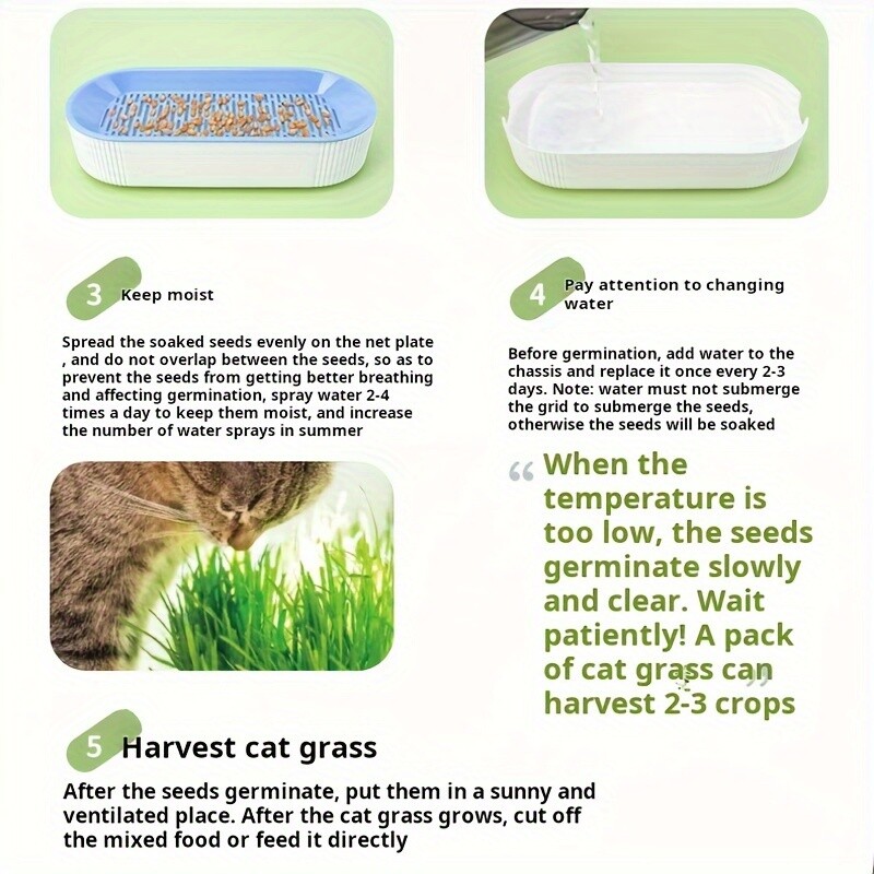 Hidroponinis kačių žolės sodinimo dėžutės auginimo vazonas Daugkartinis kačių užkandžių katžolės sodinimo konteineris Be dirvožemio, paprastas naudoti namų reikmenis
