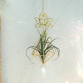 Στήριγμα Air Plant Κρεμαστό Ζαρντινιέρα Tillandsia Air Fern Κρεμάστρα φυτών Κρυστάλλινο Suncatcher Μεταλλικό Τριγωνικό ράφι Διακοσμήσεις μπαλκονιού