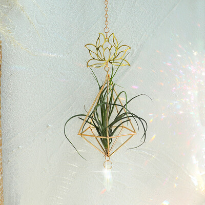 Στήριγμα Air Plant Κρεμαστό Ζαρντινιέρα Tillandsia Air Fern Κρεμάστρα φυτών Κρυστάλλινο Suncatcher Μεταλλικό Τριγωνικό ράφι Διακοσμήσεις μπαλκονιού
