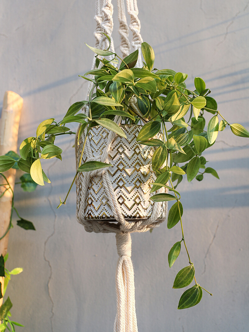 4 tk makramee riidepuu lillepoti hoidik Käsitsi valmistatud rippuv korv Rõdukaunistused Boho aiakaunistus Õuekujundus