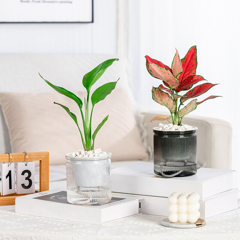 Plastikust lillepott mahlakad taimepotid Isekastvad istutuspotid Kodu Lauapealsed lillepott Kodu Bonsai Dekoor Kaasaegne kaunistus