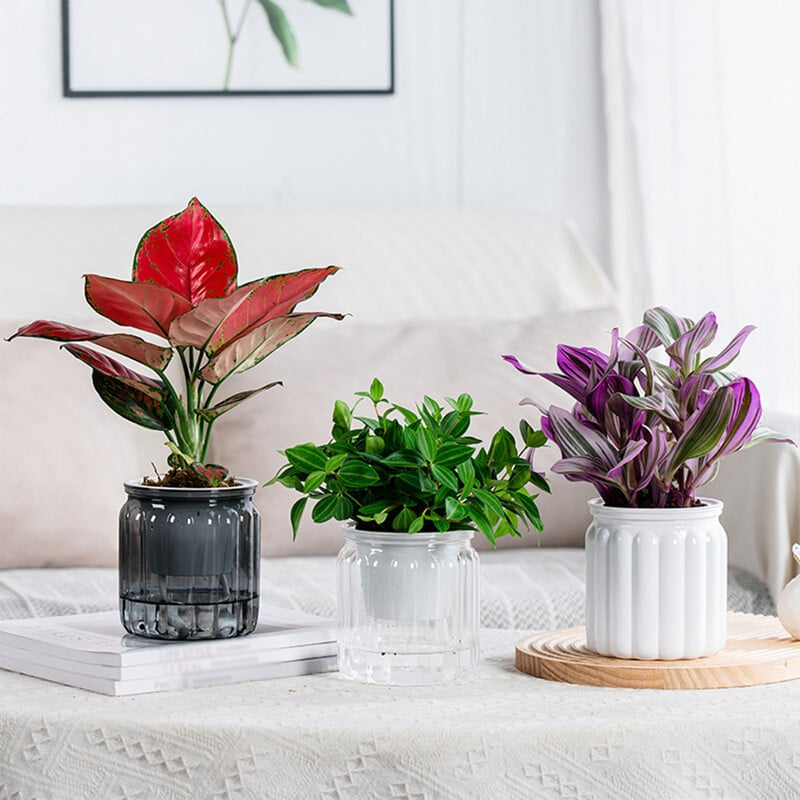 Isekastvad istutuspotid Lillepotid Mini ümara disainiga mahlakad taimepotid siseruumides laisk lillepott Aed Kaasaegne dekoratiivne pott