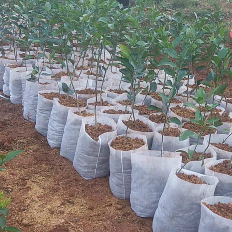 Biologiškai skaidus neaustinis audinys medelyno augalų auginimo maišeliai sodinukų auginimo vazonai Sodo vazonai Ekologiškas vėdinimo maišelis