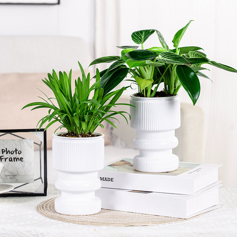 Lazy Hidroponinis gėlių vazonas Automatinis vandenį sugeriantis vazonas Savaime laistomas gėlių vazonas Plastikiniai augalų vazonai Namų sodo dekoras