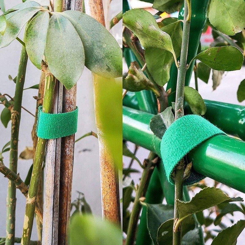 10 Roll Nylon Plant Ties Plant Bandage Hook Tie Loop Ρυθμιζόμενη στήριξη φυτών Επαναχρησιμοποιήσιμη ταινία στερέωσης για αξεσουάρ οικιακού κήπου
