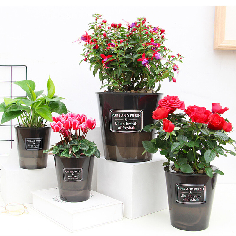 Τεμπέλης Αυτοποτιζόμενη γλάστρα Αυτόματη Απορρόφηση Νερού Χυμώδεις Υδατοκαλλιέργειες Γλάστρα Ημιδιάφανη Πλαστική Υδροπονική γλάστρα