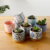 Keraamiline lillepott bambusalusega Jaapani stiilis mahlakad taimed lillepott Bonsai istutusmasin Aiakaunistus Kaktusetaimed Istutusmasinad