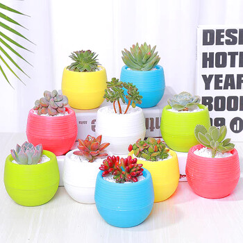 Mini Resin Stone Ball Flower Pot πολλαπλών χρωμάτων Αυτόματη αποθήκευση νερού για χυμώδη σαρκώδη φυτά σε γλάστρες Προμήθειες κήπου σπιτιού