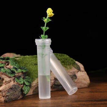 25/50/100pcs Nutrition Flower Plastic Tube Transparent Water Flower Tube Flower Water Container Ανθοπωλείο Προμήθειες