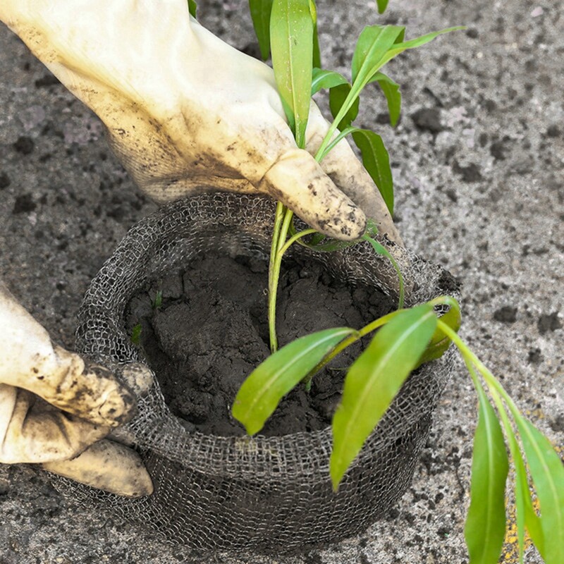 Coșuri de protecție pentru rădăcină Coșuri Gopher Plasă de sârmă Gopher Protector pentru rădăcini pentru plante Coșuri viteză din sârmă din oțel inoxidabil